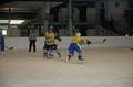 eishockey 9951240