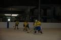 eishockey 9951347