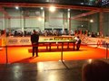 Austrian Snooker Open  20044566