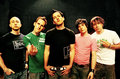 simple plan 18293179