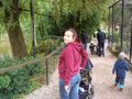 Im Tierpark Schmieding  63132819