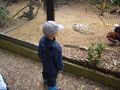 Im Tierpark Schmieding  63132918