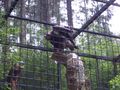 Im Tierpark Schmieding  63134362