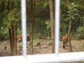 Im Tierpark Schmieding  63135199