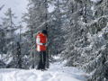 Schifahren 2008 - Saalbach und Schladmig 35548218