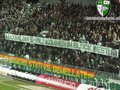 SK RAPID 28750966