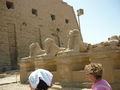 Ausflug nach Luxor!! WOW!! 67339420