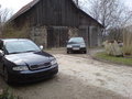 Audi,Citrone und Audi S3 16959273