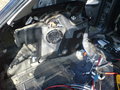 Audi,Citrone und Audi S3 16959460