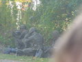 Bundesheer 2006 10536199