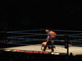 Wrestling Wien am 21.04.2007 18646717