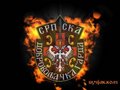 SCG_4_ever____PARTIZAN_4ever 10811079