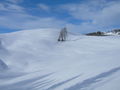  Berge im Winter  51906923