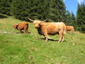 Urlaub Saalbach 23-27.8.09  66134657