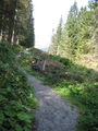 Urlaub Saalbach 23-27.8.09  66134760