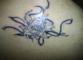 Mein neues Tattoo 52051380