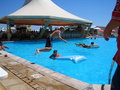 Sunny Beach 24704148