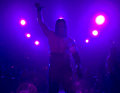 The Undertaker 10909048