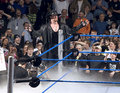 The Undertaker 10909051