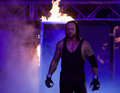 The Undertaker 10909715