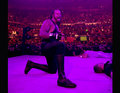 The Undertaker 10909724