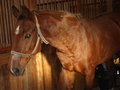 das war MEIN Bariton :-( 11166407