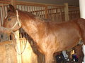 das war MEIN Bariton :-( 11166412