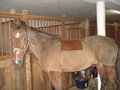das war MEIN Bariton :-( 11166421