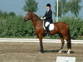 das war MEIN Bariton :-( 11434313