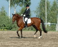 das war MEIN Bariton :-( 11434314