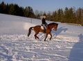 das war MEIN Bariton :-( 11618050