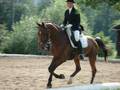 das war MEIN Bariton :-( 9869484
