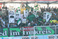 SV Ried Simply the Best 10158604