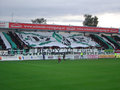 SV Ried Simply the Best 10395911