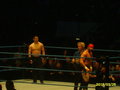 Wrestlemania Revengetour 2007     Wien 18663389