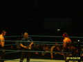 Wrestlemania Revengetour 2007     Wien 18663431