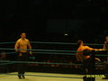 Wrestlemania Revengetour 2007     Wien 18663454