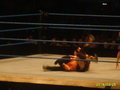 Wrestlemania Revengetour 2007     Wien 18663476