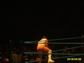 Wrestlemania Revengetour 2007     Wien 18663694