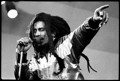 Bob Marley 35050579