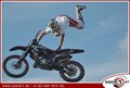 Motorcross 20734767