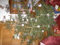 Weihnachten 2008 50571154