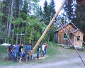 MaIbaUm StEhL AkTiOn 60784537