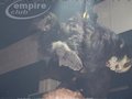 Krampusfotos vom empire06 12513672