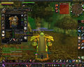 World of Warcraft 55250715