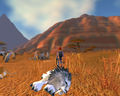 World of Warcraft 55250782