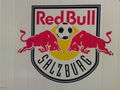 RED BULL ARENA 64054834