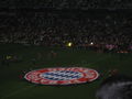 fc bayern münchen 44701316