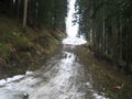 skiurlaub kirchdorf 2008 36053078