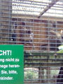 Wandertag im Tierpark Haag  50007327